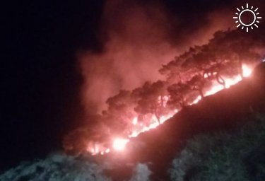В Новороссийске потушили лесной пожар в районе горы Колдун