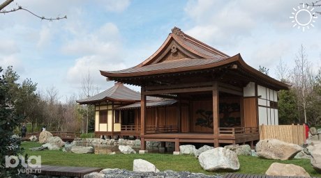 В Японском саду Краснодара состоятся творческие мастер-классы