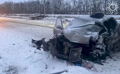 В Ростовской области в ДТП погиб 23-летний водитель, который пытался обогнать машину на заснеженной трассе