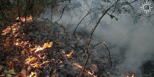 Лесной пожар произошел недалеко от плато Лаго-Наки в Апшеронском районе