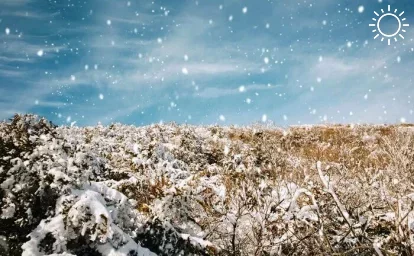 Весь понедельник в Астраханской области будет минусовая температура с небольшим снегом