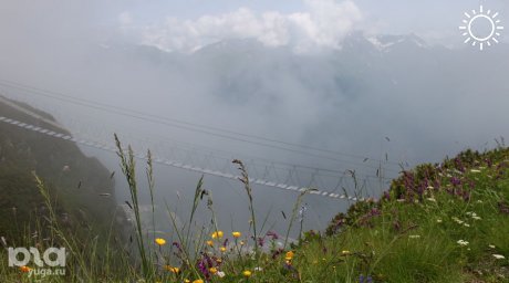 Компании Потанина и Ткачева договорились развивать экотуризм в горах Сочи вместе с университетом «Сириус»