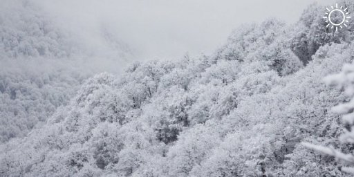 Экстренное предупреждение по сильному снегу объявили в Сочи