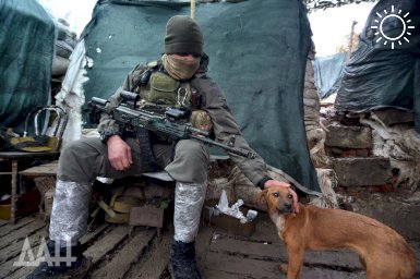 ОНФ объявил срочный сбор средств на оборудование для бойцов РФ под Авдеевкой