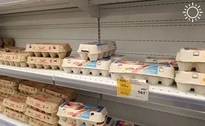 Ростовстат впервые с лета зафиксировал снижение цен на яйца в Ростовской области