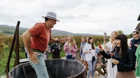 Жителей Краснодарского края приглашают подавить виноград, как Адриано Челентано