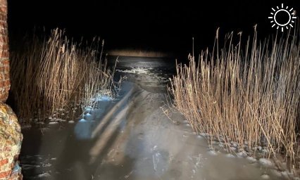 Двое маленьких детей провалились под лед и утонули в Ростовской области