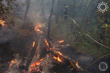 Два человека погибли при пожаре в Котово Волгоградской области