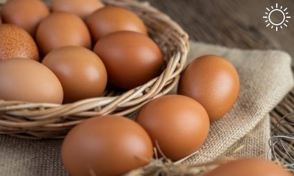 Рост цен на куриные яйца замедлился в Краснодарском крае