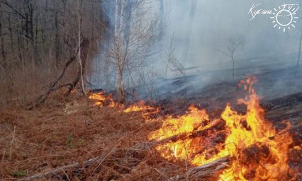 Лесной пожар потушили в Горячем Ключе на площади 3,3 га