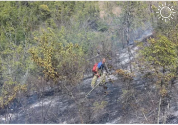 Условия жесточайшие: в Крыму продолжают тушение пожара в Коктебеле