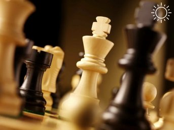 Шахматисты Дагестана одержали ряд побед на международных соревнованиях