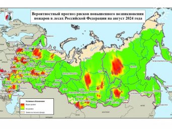 К чему может привести аномальная жара в Ростовской области ?