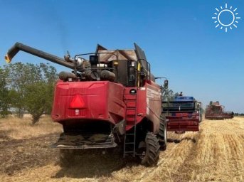 Жара – не проблема: в Запорожской области вовсю собирают урожай