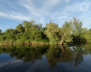 Очищение реки Ольховой